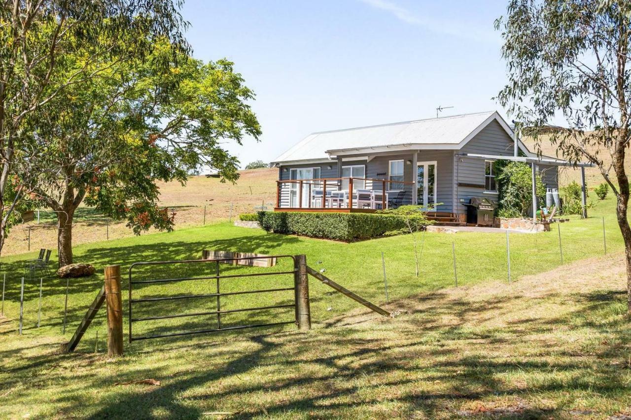 Hollow Tree Farm Toowoomba Kültér fotó
